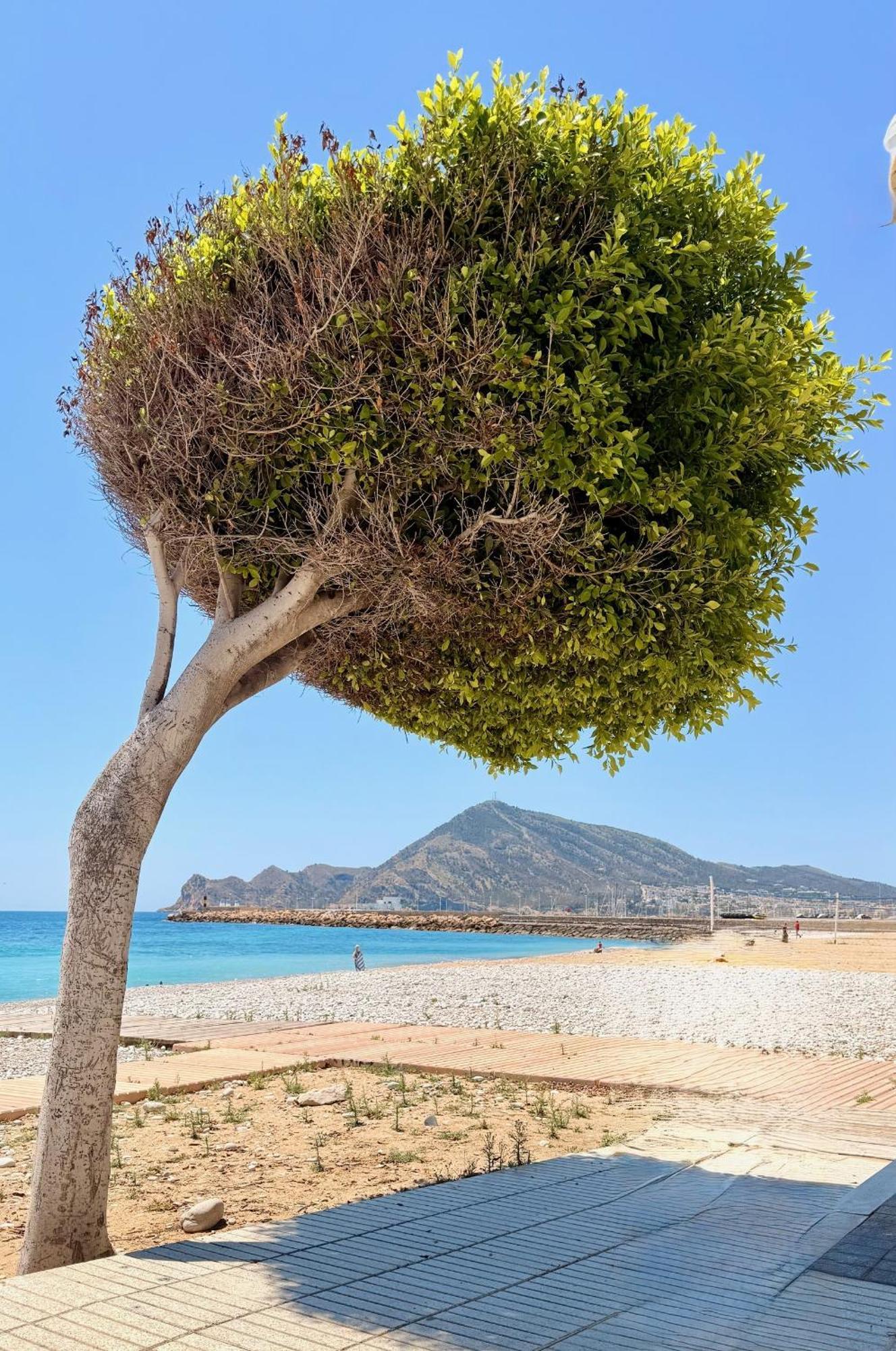 New Calm & Charming Loft Altea Apartment Екстериор снимка